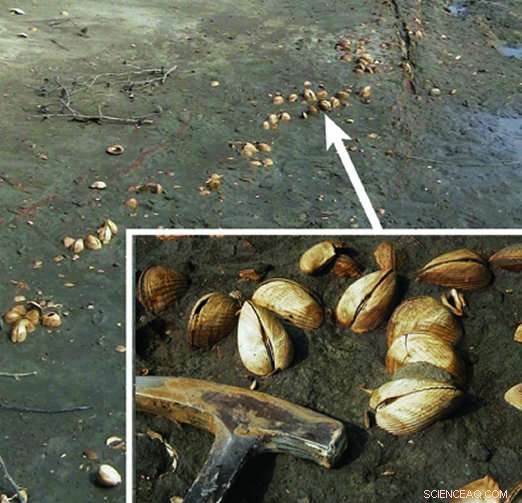 New Study Illuminates 56‑Million‑Year‑Old Global Warming’s Impact on Marine Life