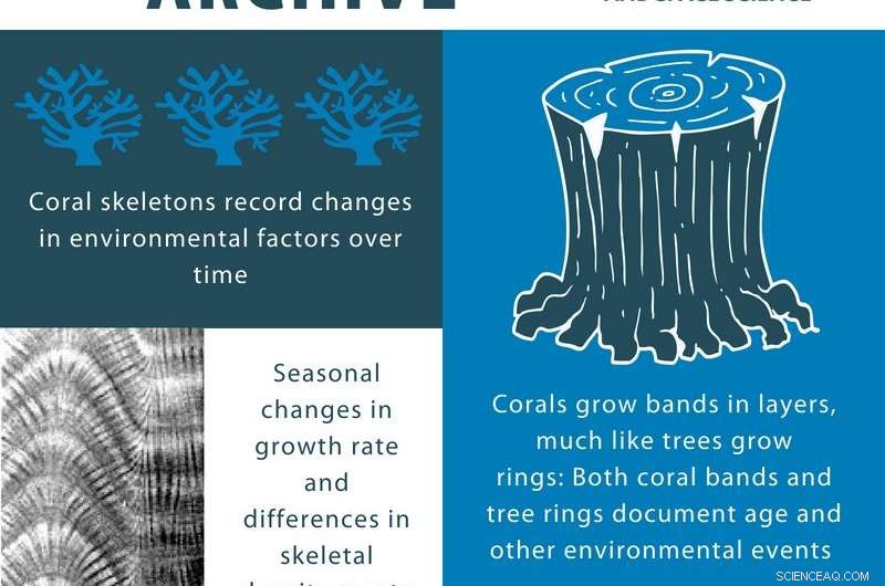 Long-Term Groundwater Pollution Threatened South Pacific Coral Reefs, Study Reveals