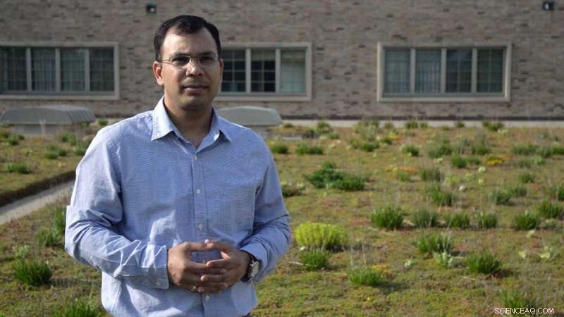 How Chicago’s Green Roofs Can Cool Cities: Insights from a New Study