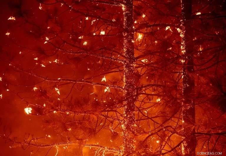 Delta Fire Rips Through Northern California, Devastating 25,000 Acres