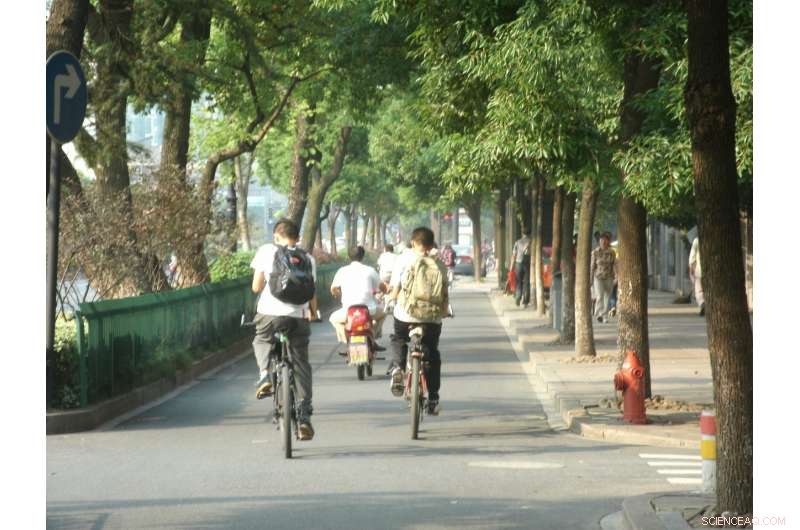 Greener Streets: Prioritizing Bike Lanes and Tree Canopies for Sustainable Urban Design