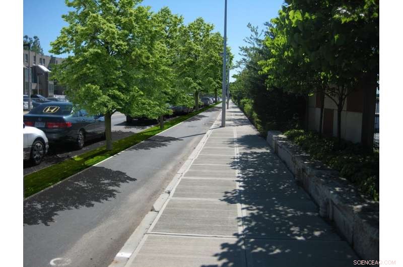 Greener Streets: Prioritizing Bike Lanes and Tree Canopies for Sustainable Urban Design