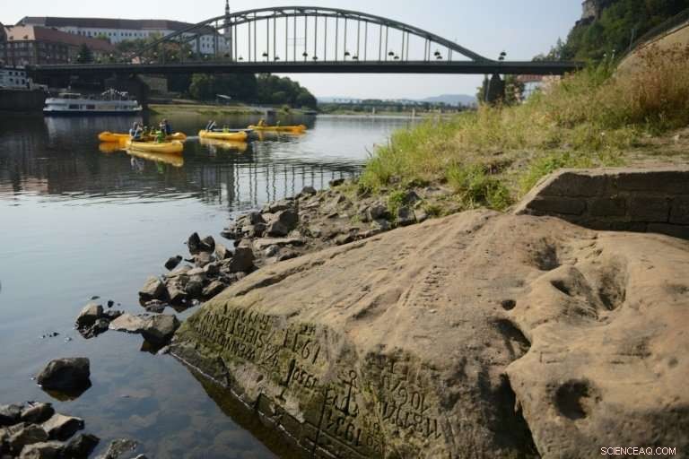 Elbe Hunger Stone Unveils a Century-Old Drought Chronicle