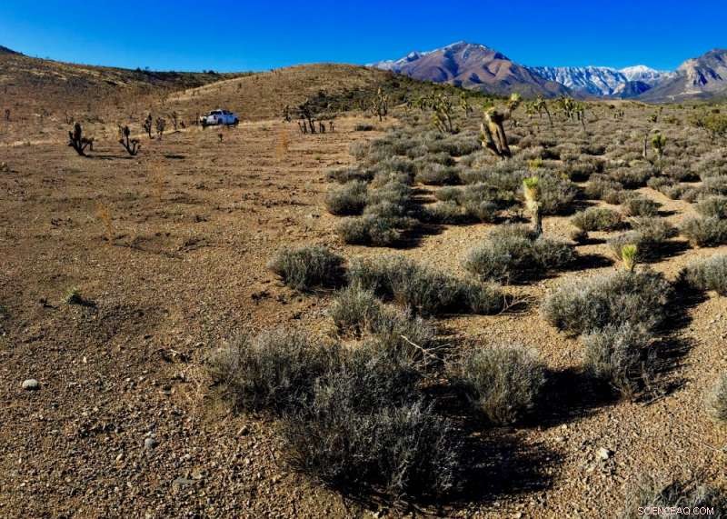 Low-Intensity Wildfires Significantly Alter Soil Health, Surprising Researchers