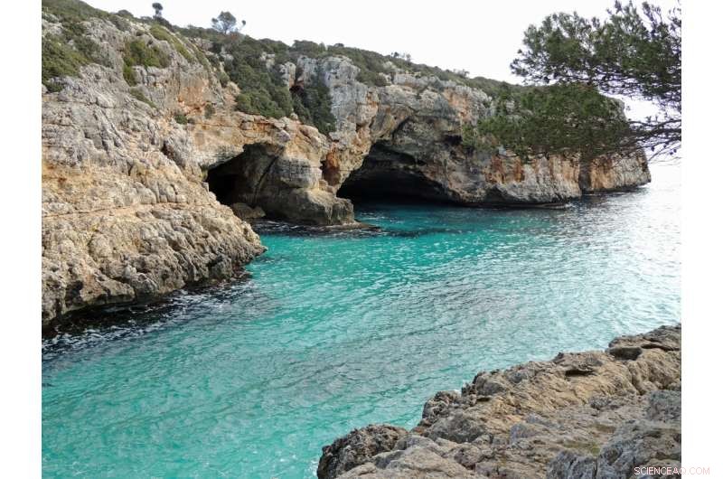 Stable Sea Levels Confirmed During Last Interglacial: New Scientific Findings