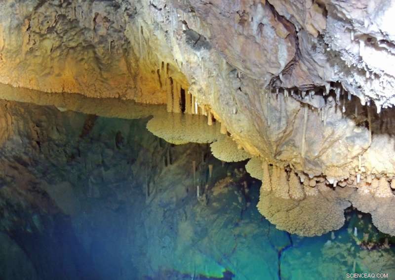 Stable Sea Levels Confirmed During Last Interglacial: New Scientific Findings