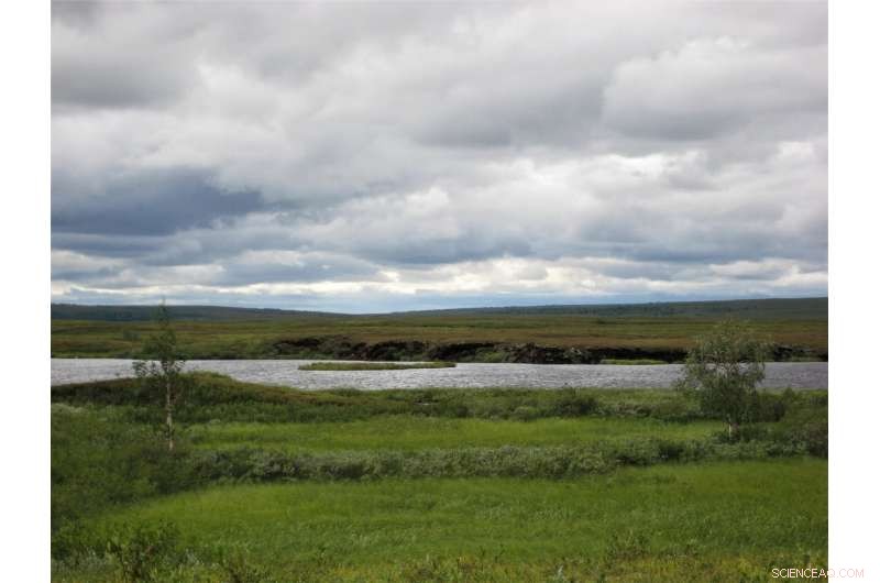 Arctic Wetlands: Crucial for Precise Greenhouse Gas Measurements