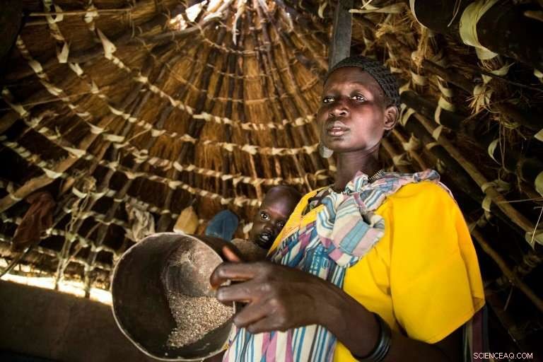 UN Reports Climate Extremes as Main Driver of Global Hunger Surge