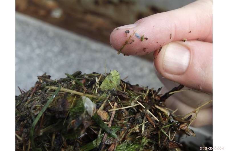 The Meghalayan Age: How It Redefines Earth s Geological Timeline