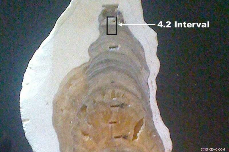 The Meghalayan Age: How It Redefines Earth s Geological Timeline