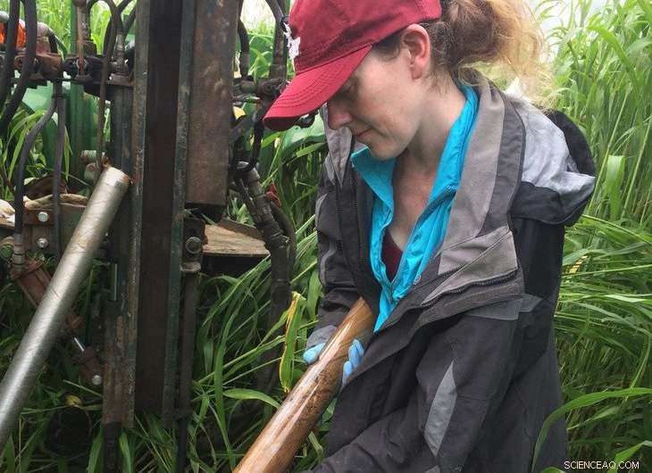 Soil-Based Filters Remove Antibiotics from Treated Wastewater, Safeguarding Groundwater