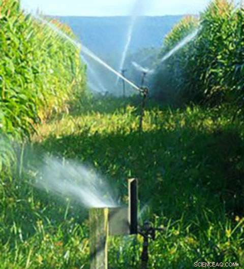 Soil-Based Filters Remove Antibiotics from Treated Wastewater, Safeguarding Groundwater