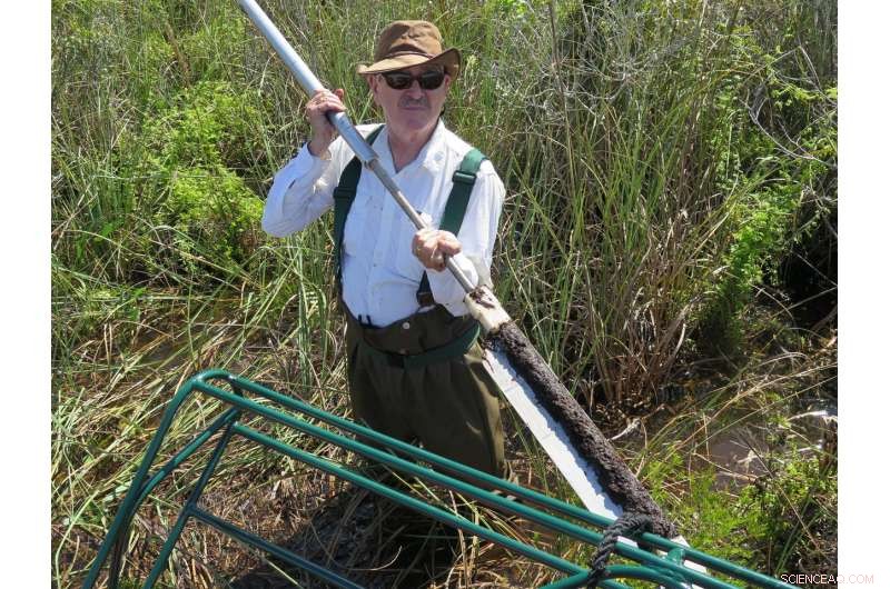 Natural Process May Reduce Greenhouse Gas Emissions from Tropical Peatlands