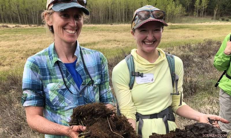 Why Expanding Swamps Is Key to Combating Climate Change