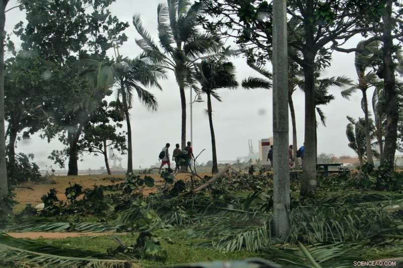 What Google Searches Reveal About Public Concerns Over Climate Change