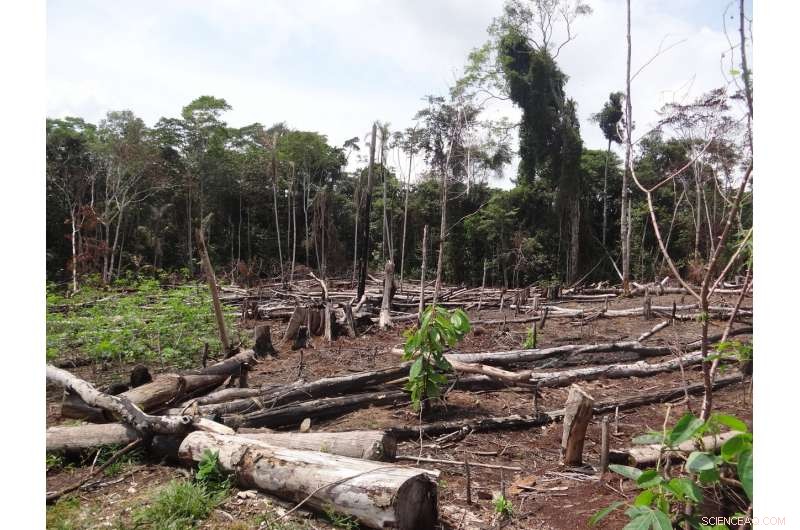 Colombia’s Peace Accord Could Endanger Ecosystems, Experts Warn