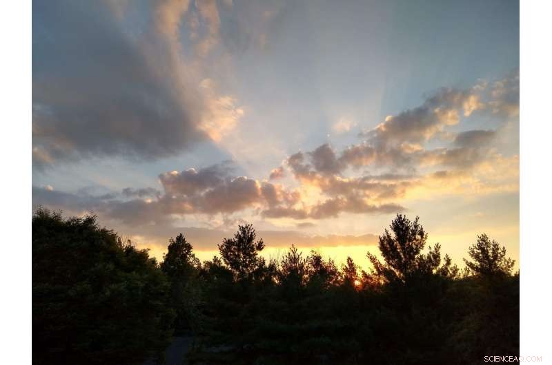 University of Tennessee & Clemson Release Updated Daily Light Integral Map