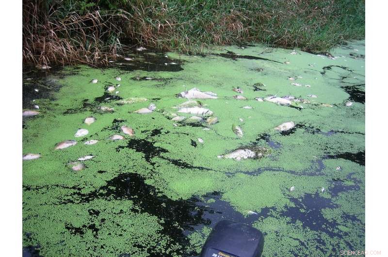 Climate Change Threatens Indiana’s Aquatic Habitats: Uncertain Future for Fish and Ecosystems