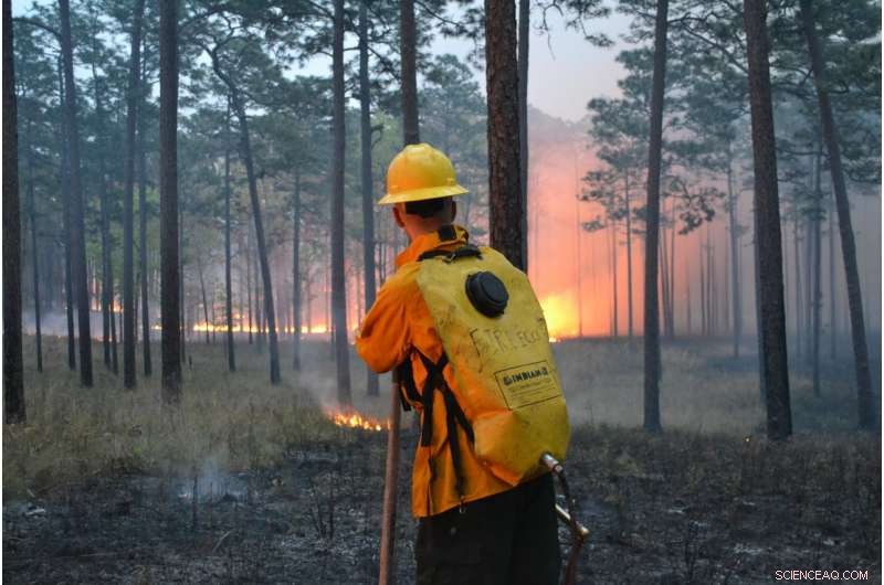 Study Reveals Majority of Florida Fires Go Undetected, Raising Alarm for Wildfire Management