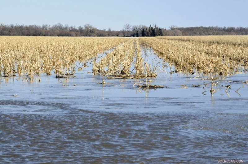 Climate Change Drives Soil Degradation, Increasing Erosion and Flash Flood Risks