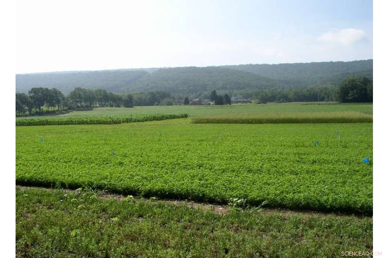 Penn State s Conservation Dairy Farming Offers Path to Meet Pennsylvania s Chesapeake Bay Target