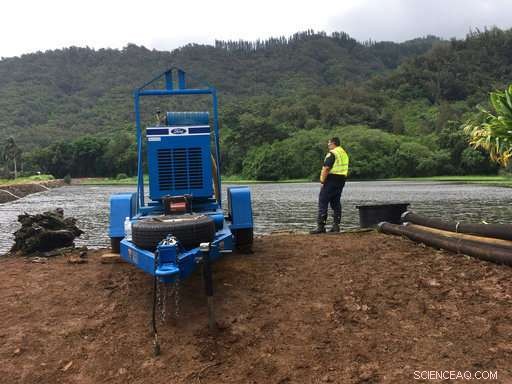 Study Finds Majority of Hawaiian Dams Pose High Hazard Risk