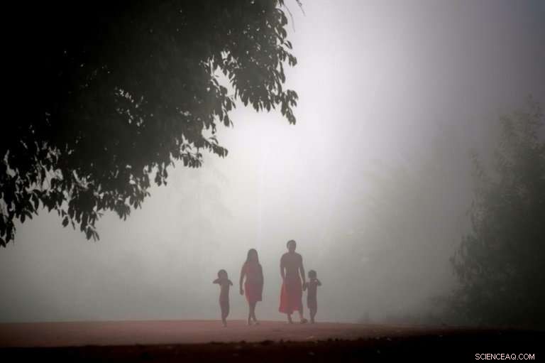 Indigenous Communities: Pioneers in Forest Conservation Secure a Turnaround