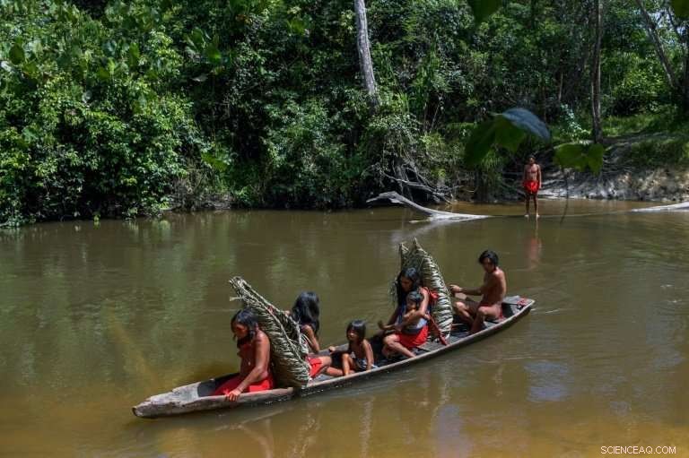 Indigenous Communities: Pioneers in Forest Conservation Secure a Turnaround