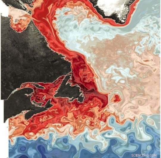 Massive Ocean Shift Brings Low‑Oxygen Waters Into Canada’s Gulf of St. Lawrence