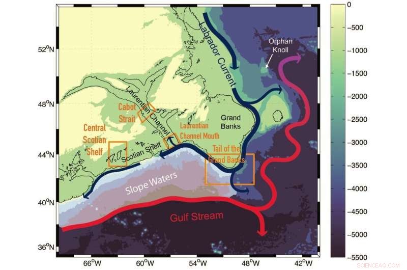 Massive Ocean Shift Brings Low‑Oxygen Waters Into Canada’s Gulf of St. Lawrence