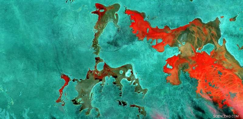 Australia from 700 km High: An Artist s Surreal Satellite Portrait