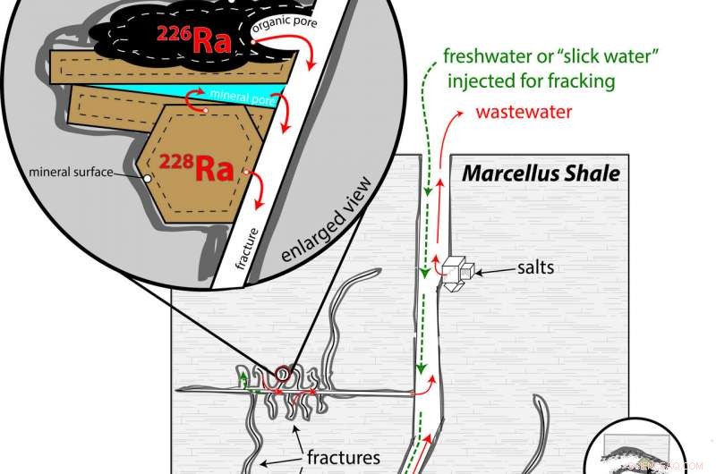 The Role of Slickwater and Black Shale in Generating Radioactive Waste During Hydraulic Fracturing