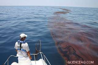 Estimating the Economic Cost of Lost Recreational Days After the Deepwater Horizon Oil Spill