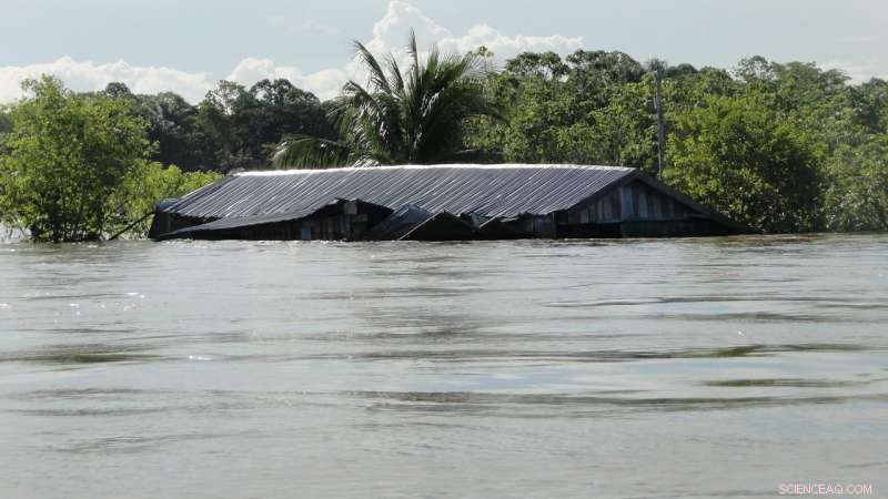 Amazon River Floods Spike Fivefold in a Century