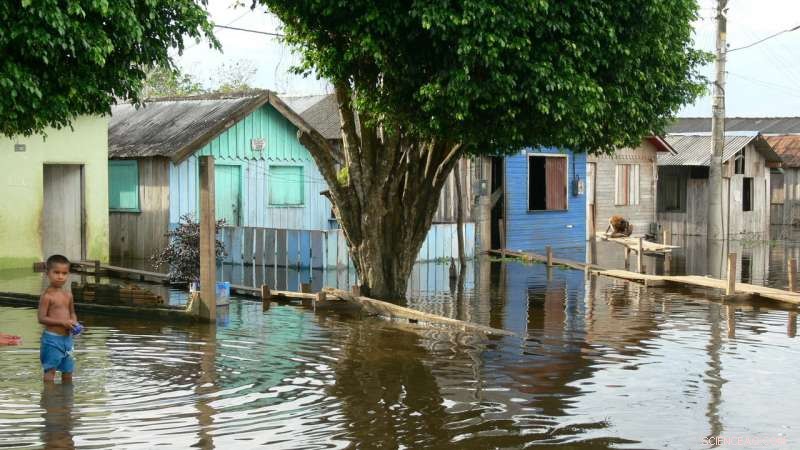 Amazon River Floods Spike Fivefold in a Century