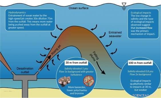 Groundbreaking Study Confirms Sydney Desalination Plant’s Minimal Marine Impact