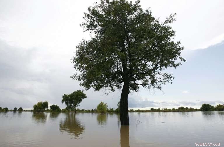 Heavy Rains Cause 34 Fatalities in Northern Ghana Amid Severe Flooding