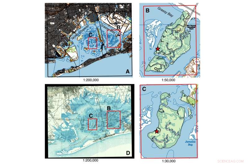 Urbanization Severely Threatens NYC Wetlands: Cutting Off Life Support