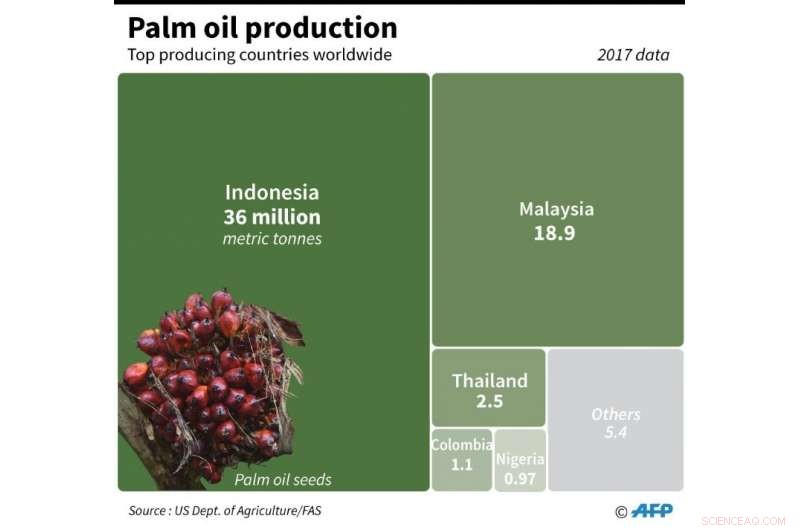 EU Palm Oil Ban Threatens Livelihoods of Southeast Asian Farmers