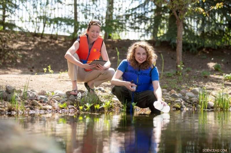 How Lakes Thrive in Winter: Unveiling Their Hidden Life