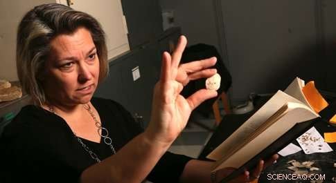 Fossil Shellfish Reveal Climate Trends: Insights for Our Environmental Future