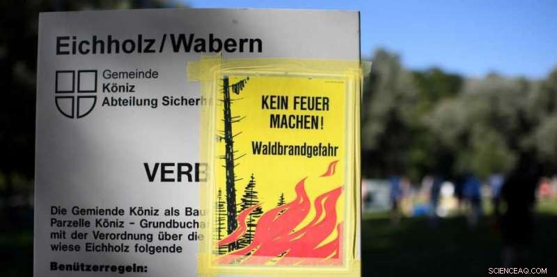 Extreme Weather Events Are Rarely Isolated—Understanding Their Interconnected Impact