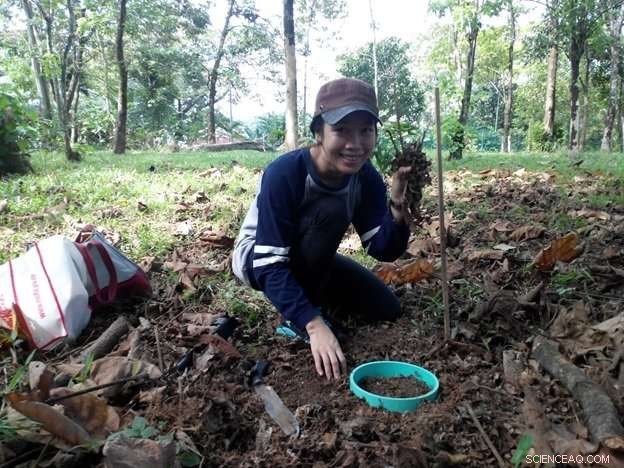 Tree Species and Age Significantly Influence Carbon Emissions