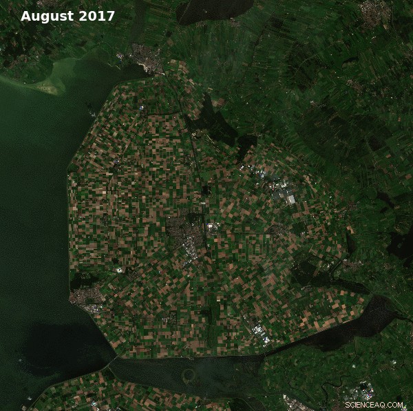 Satellites Safeguard Europe s Potato Industry with Real-Time Monitoring