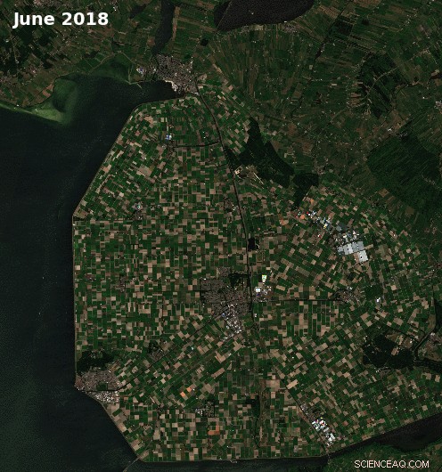 Satellites Safeguard Europe s Potato Industry with Real-Time Monitoring