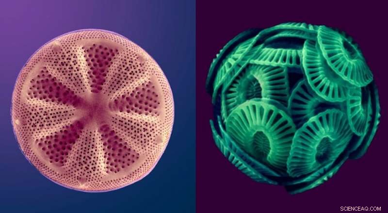 After 50 Years of Ocean‑Floor Drilling, Here’s What Scientists Have Uncovered