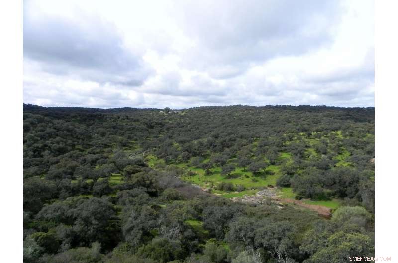 Sustainable Traditional Farming Practices for Arid Climates