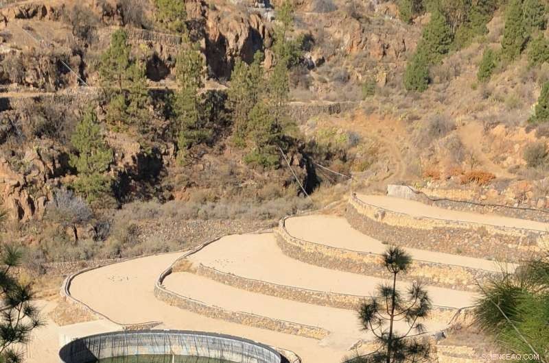 Sustainable Traditional Farming Practices for Arid Climates