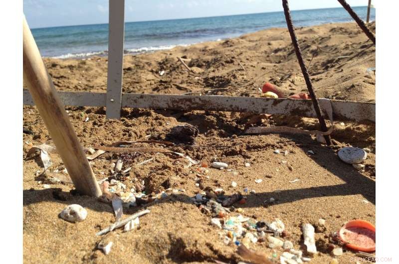 Deep Sand Layers Reveal Microplastics in Sea Turtle Nesting Beaches