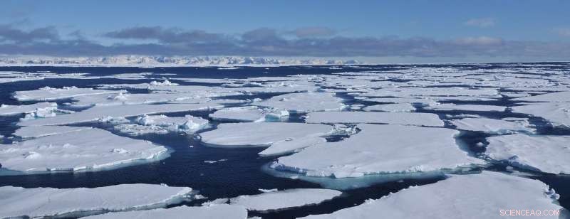 Researchers Reveal How Polar Polynya Sustained Marine Life in the Last Ice Age